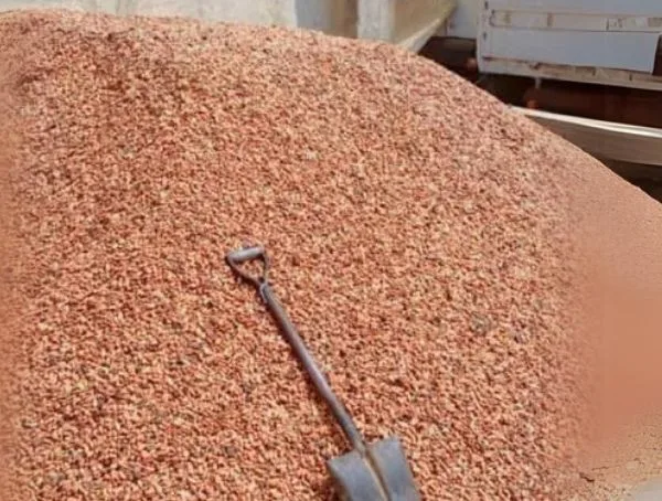 Heaps of Dried COCOA beans, ready for sales