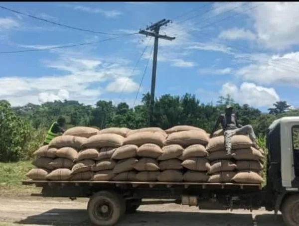 Transportation of Processed COCOA Beans for Export