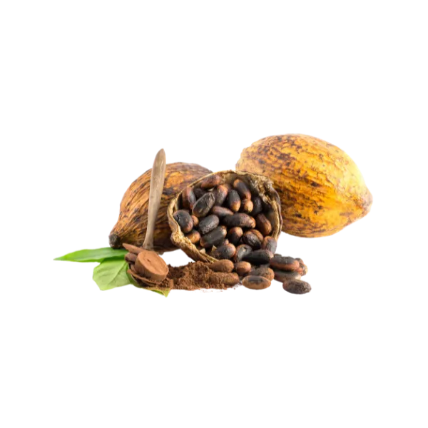Premium African Cocoa Beans