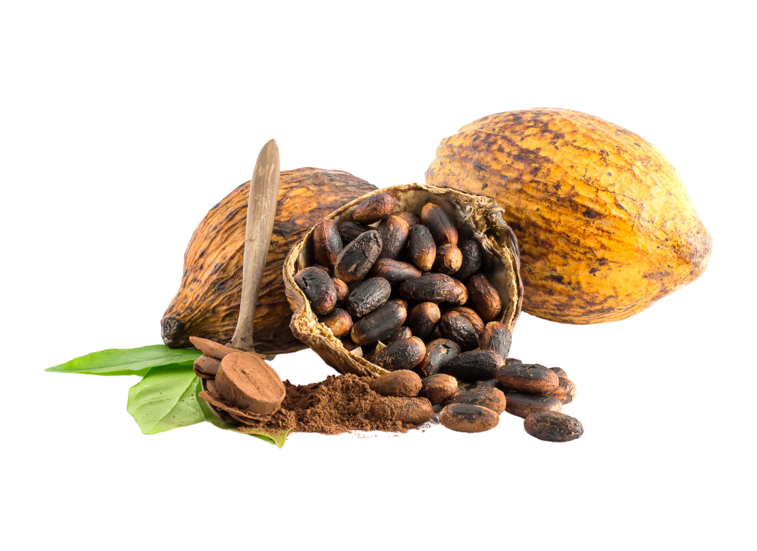 Cocoa Beans