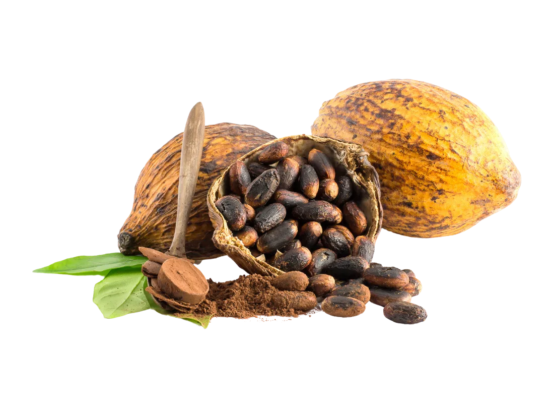 Premium Organic Cocoa Beans