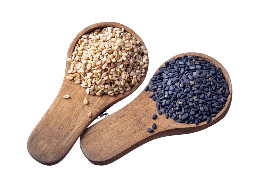 Nutrient-Rich Bene Seeds Sesame